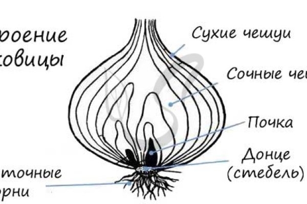 Кракен найти сайт