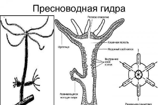 Актуальные ссылки кракен на 2025