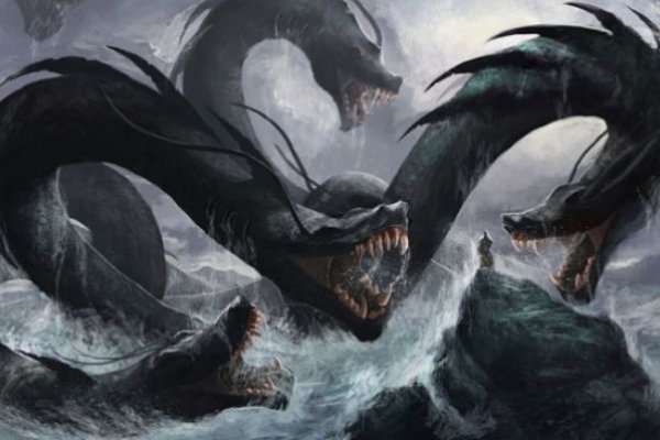 Kraken 19 at